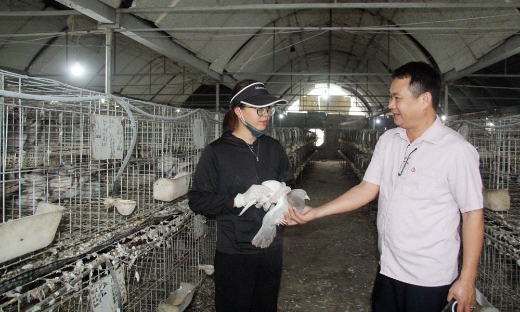 Hiệu quả từ vốn tín dụng chính sách ở Lục Nam