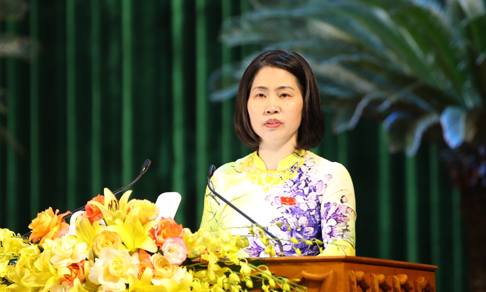Kỳ họp thứ 22, HĐND tỉnh: Khắc phục tình trạng chậm tiến độ tại các dự án đầu tư ngoài khu, CCN