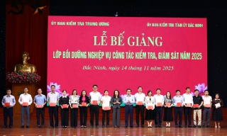 Bồi dưỡng kiến thức chuyên sâu về công tác kiểm tra, giám sát