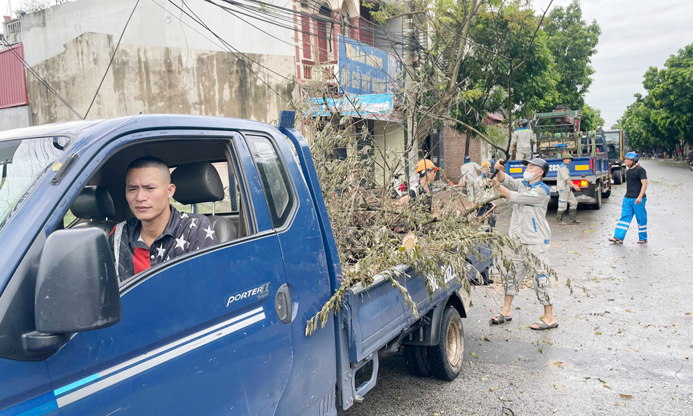 Công ty cổ phần Quản lý công trình đô thị Bắc Giang kêu gọi hỗ trợ phương tiện vận chuyển cây xanh gãy, đổ 