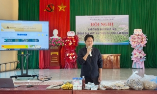 Nâng cao hiệu quả sản xuất vải thiều bằng giải pháp IMO 