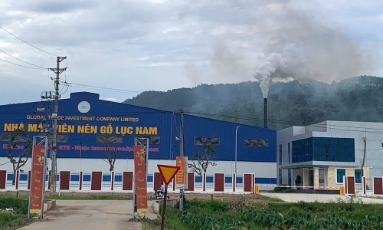   Bắc Ninh: Doanh nghiệp sản xuất viên nén tạm dừng hoạt động do gây ô nhiễm môi trường