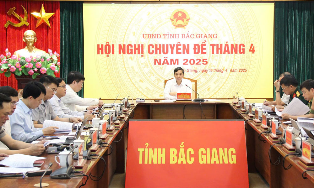 Bắc Giang: Thảo luận, cho ý kiến về đề án sắp xếp đơn vị hành chính