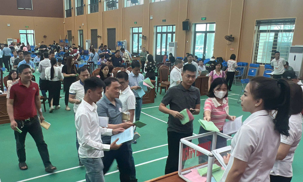 Việt Yên: 100 lô đất trúng đấu giá cao hơn 2 lần so với mức khởi điểm