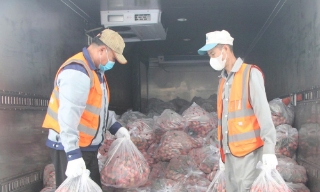 Bắc Ninh: Thêm nhiều doanh nghiệp trong khu công nghiệp chung tay tiêu thụ vải thiều