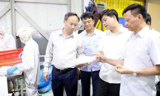 Phó Chủ tịch UBND tỉnh Bắc Ninh Phạm Văn Thịnh khảo sát vùng trồng, cơ sở chế biến vải thiều