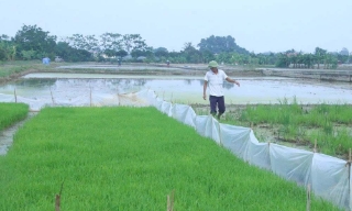 Phòng trừ dịch bệnh, bảo vệ cây trồng