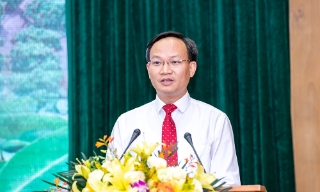 Tiếp tục nâng cao chất lượng sản phẩm, mở rộng thị trường tiêu thụ vải thiều trong năm 2026