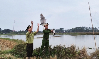 Bắc Ninh: Cao điểm bảo vệ động vật hoang dã, xử phạt hành chính hơn 100 triệu đồng