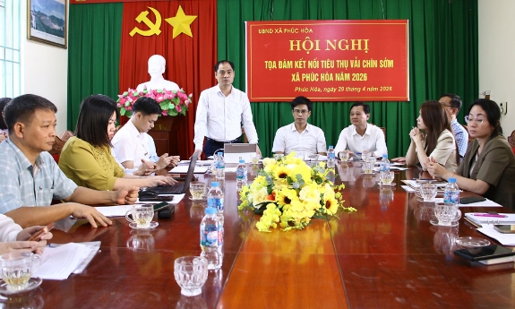 Phúc Hòa kết nối tiêu thụ vải chín sớm