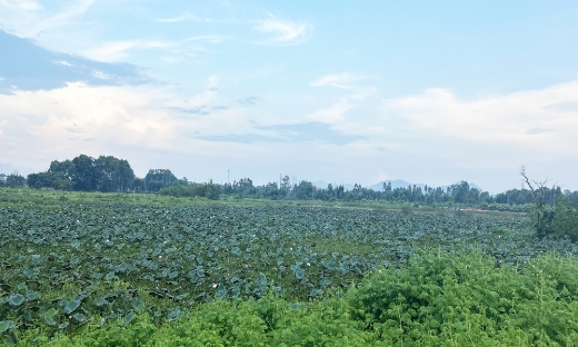 Bắc Ninh: Phường Đa Mai kiểm điểm trách nhiệm sơ suất trong phát hành văn bản