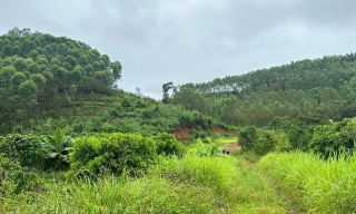 Bắc Ninh: Cấp mới 4 giấy phép khai thác khoáng sản, bảo đảm nguồn cung vật liệu xây dựng