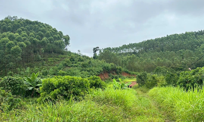  Bắc Ninh: Cấp mới 4 giấy phép khai thác khoáng sản, bảo đảm nguồn cung vật liệu xây dựng