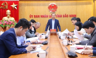 Đồng ý chủ trương cho phép dừng dự án trùng tu, tôn tạo khu di tích chùa Dâu để nghiên cứu xây dựng dự án mới