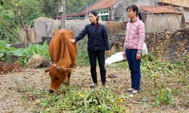  Tin tức - Sự kiện