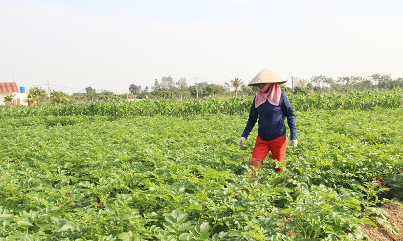  Tin tức - Sự kiện
