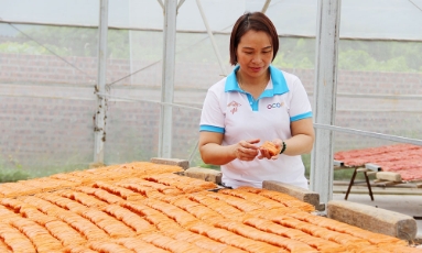  Sản vật vùng cao