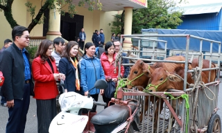 Bắc Ninh: Phát động chương trình “Sức mạnh nhân đạo” năm 2025