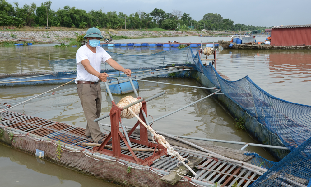  Bảo đảm an toàn cho sản xuất thủy sản trong bão số 3