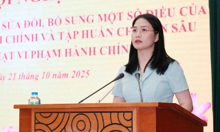  Triển khai Luật Sửa đổi, bổ sung một số điều của Luật Xử lý vi phạm hành chính