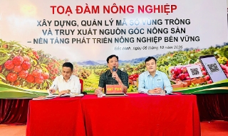 Bắc Ninh: Tọa đàm quản lý mã số vùng trồng và truy xuất nguồn gốc nông sản
