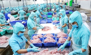 Phản bác quan điểm xuyên tạc dự thảo văn kiện của Đảng về các thành phần kinh tế