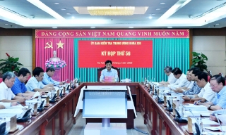 Bộ Chính trị, Ban Bí thư thi hành kỷ luật đảng viên vi phạm