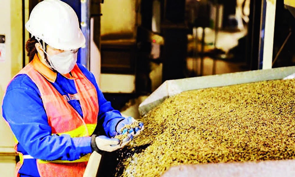  Xuất khẩu cà phê xác lập kỷ lục mới