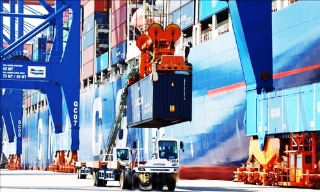 Bộ Công Thương ban hành bộ thủ tục hành chính mới trong lĩnh vực xuất nhập khẩu