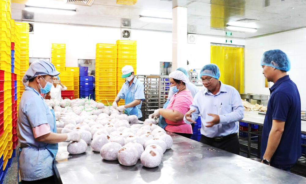  Linh hoạt quy trình nộp thuế hỗ trợ các hộ kinh doanh