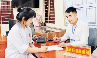 Nghiên cứu quy định về thành lập, tổ chức lại, giải thể đơn vị sự nghiệp công lập