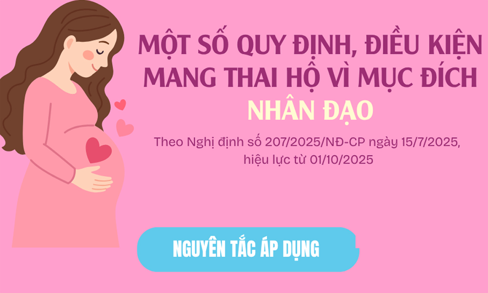  Một số quy định, điều kiện mang thai hộ vì mục đích nhân đạo