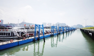 Phó thủ tướng chỉ đạo xem xét xử lý lỗ hổng từ vụ lật tàu Vịnh Xanh
