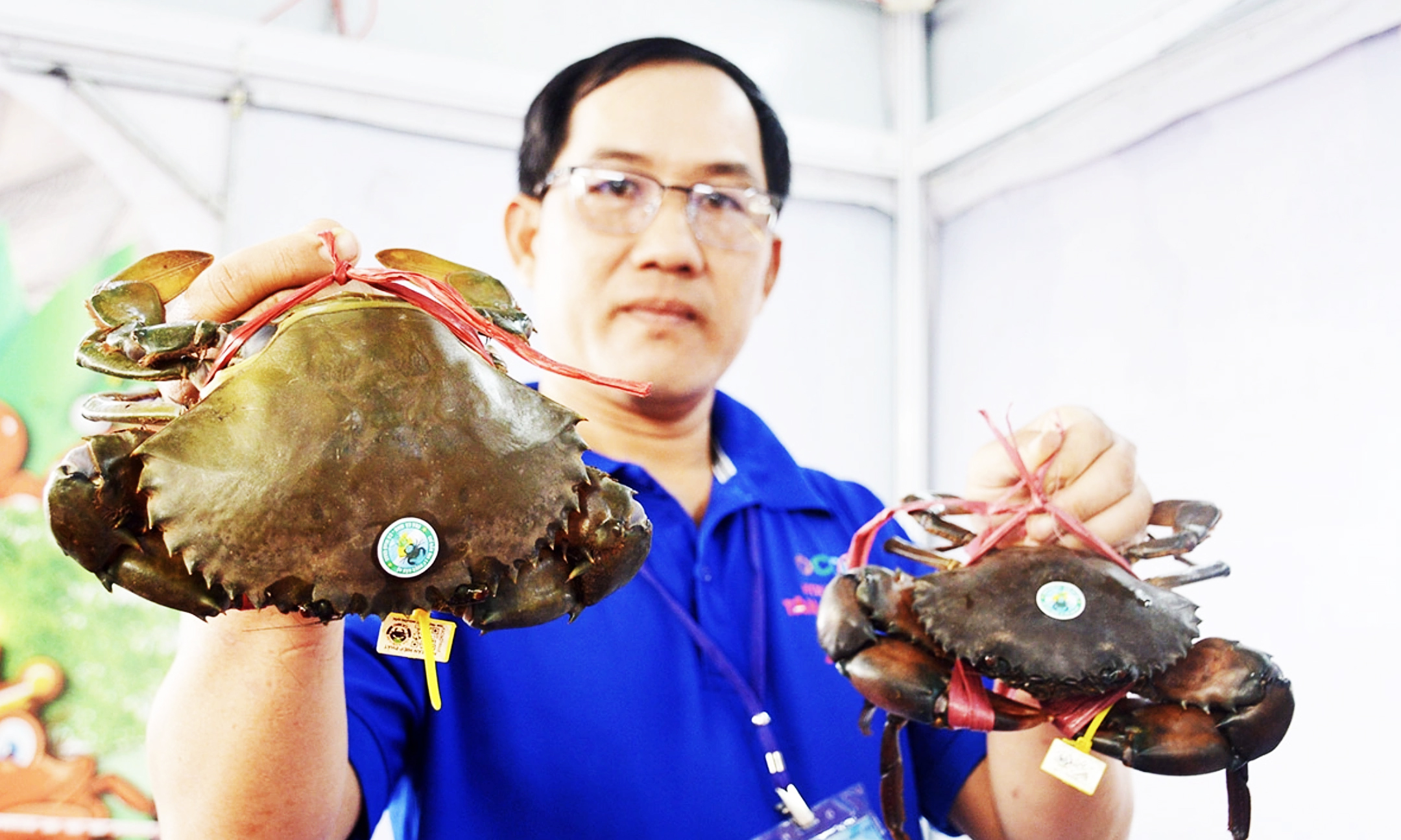  Việt Nam thu hơn 4.400 tỷ đồng từ xuất khẩu cua ghẹ 