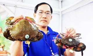 Việt Nam thu hơn 4.400 tỷ đồng từ xuất khẩu cua ghẹ 