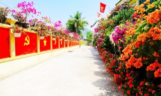 Cặp vợ chồng Nghệ An làm con đường cờ đỏ sao vàng đón đại lễ 2/9