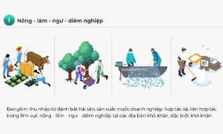 13 khoản thu nhập được miễn thuế thu nhập doanh nghiệp