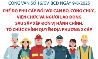 Quy định về chế độ phụ cấp đối với cán bộ, công chức, viên chức và người lao động sau sắp xếp