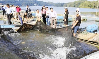 Xã Đại Lai xây dựng nông thôn mới từ mô hình nuôi thủy sản