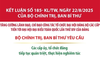 Nhiệm vụ của các cấp ủy, tổ chức đảng, tỉnh ủy, thành ủy, đảng ủy trực thuộc Trung ương