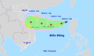 Áp thấp nhiệt đới gây biển động mạnh ở Biển Đông