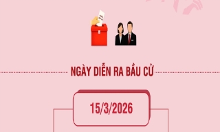Thông tin cần biết về Ngày Bầu cử
