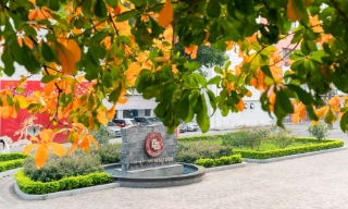 13 đại học Việt Nam vào bảng xếp hạng thế giới theo ngành