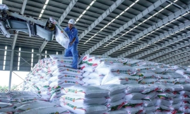  Giá phân bón, thức ăn chăn nuôi tăng cao