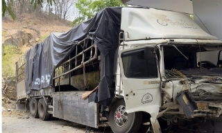 Xe tải lao xuống vực ở Lâm Đồng, 3 người tử vong