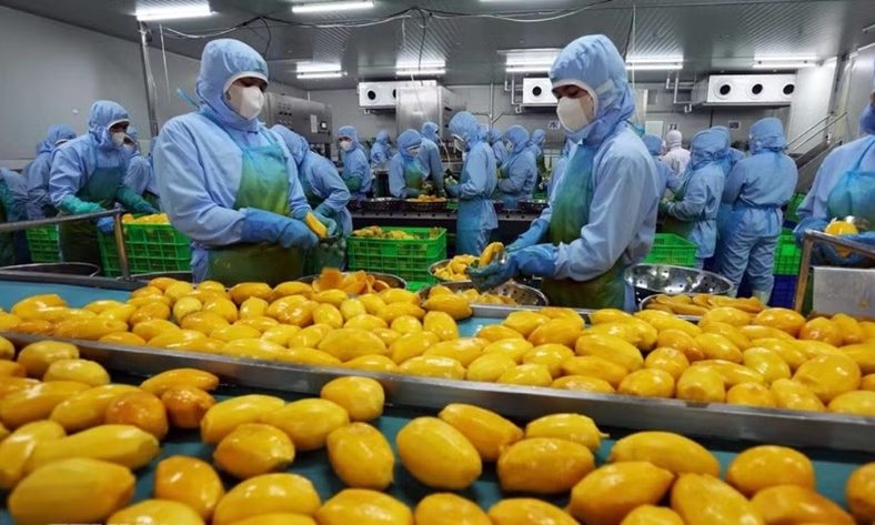  WB: Việt Nam là một điển hình về khả năng biến thách thức thành cơ hội