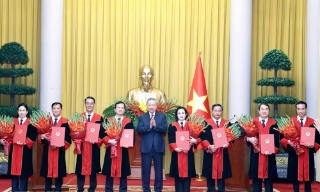 Tổng Bí thư, Chủ tịch nước Tô Lâm trao quyết định bổ nhiệm Thẩm phán Tòa án Nhân dân tối cao