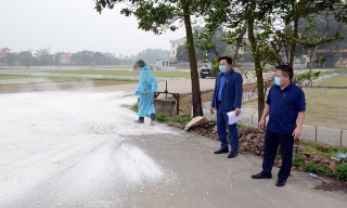 Bảo đảm an toàn đàn vật nuôi trước dịch tả lợn châu Phi