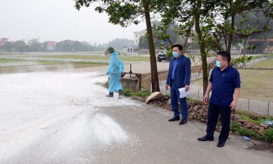  Bảo đảm an toàn đàn vật nuôi trước dịch tả lợn châu Phi