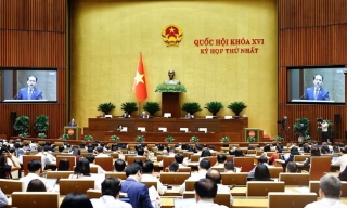  Thí điểm luật sư công: Bổ sung lực lượng pháp lý cho khu vực nhà nước